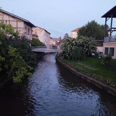 La Maison De Marie, Cosy Et Spacieuse - 3 Chambres Dont Une Climatisee Châtillon-sur-Chalaronne Kültér fotó